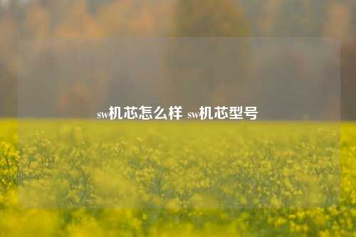 sw机芯怎么样 sw机芯型号