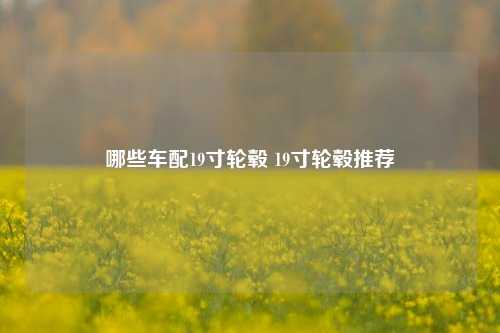 哪些车配19寸轮毂 19寸轮毂推荐