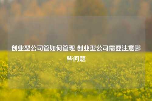 创业型公司管如何管理 创业型公司需要注意哪些问题