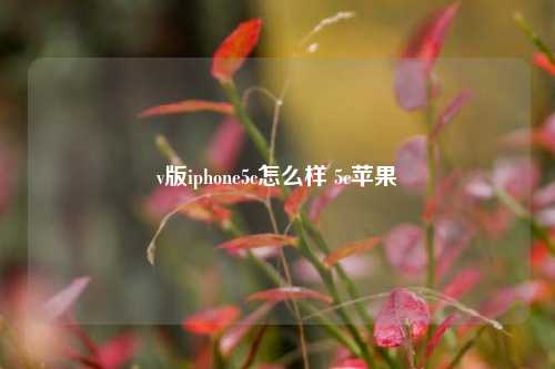 v版iphone5c怎么样 5c苹果