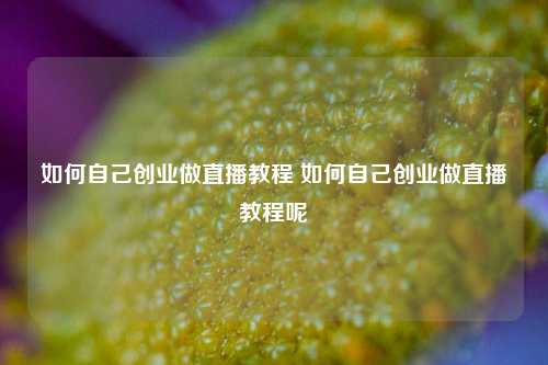 如何自己创业做直播教程 如何自己创业做直播教程呢