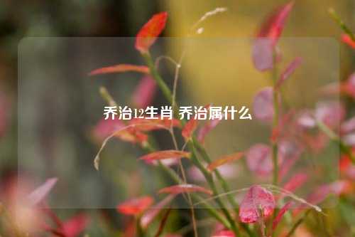 乔治12生肖 乔治属什么