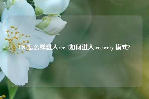 l39t怎么样进入rec 1如何进入 recovery 模式?