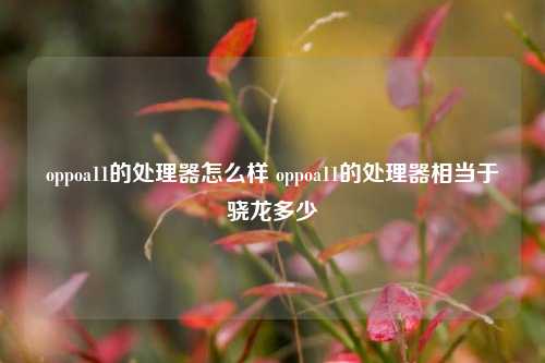 oppoa11的处理器怎么样 oppoa11的处理器相当于骁龙多少