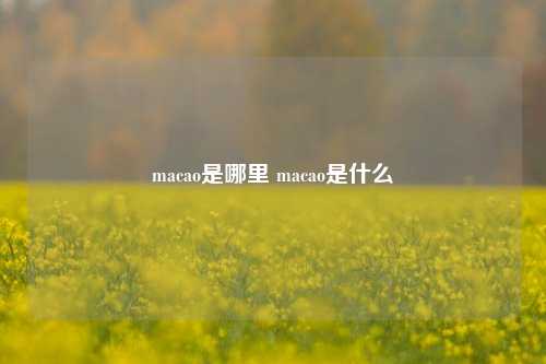 macao是哪里 macao是什么