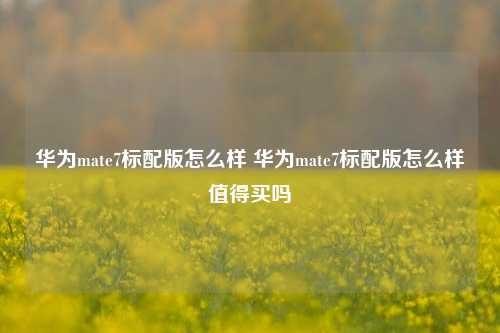 华为mate7标配版怎么样 华为mate7标配版怎么样值得买吗