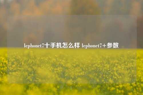 lephonet7十手机怎么样 lephonet7+参数