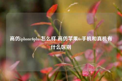 高仿iphone6plus怎么样 高仿苹果6s手机和真机有什么区别