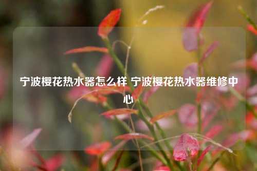 宁波樱花热水器怎么样 宁波樱花热水器维修中心