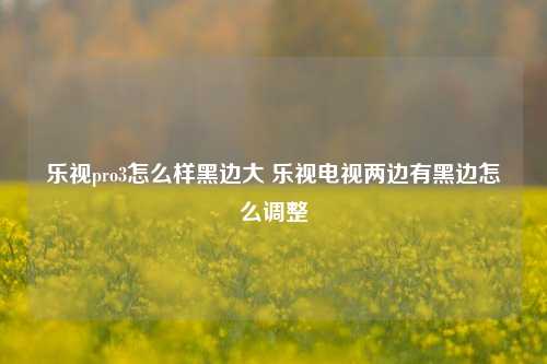 乐视pro3怎么样黑边大 乐视电视两边有黑边怎么调整