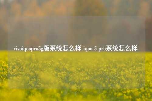 vivoiqoopro5g版系统怎么样 iqoo 5 pro系统怎么样