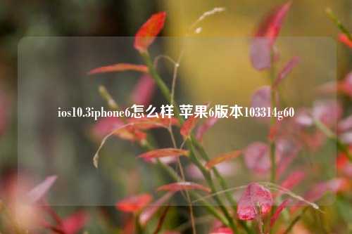 ios10.3iphone6怎么样 苹果6版本103314g60