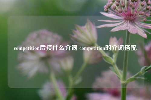 competition后接什么介词 competition的介词搭配