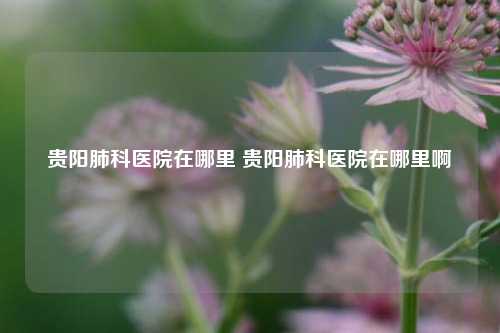 贵阳肺科医院在哪里 贵阳肺科医院在哪里啊