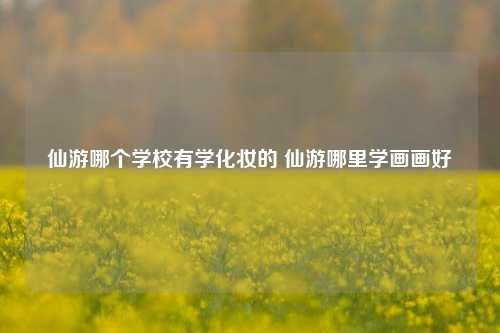 仙游哪个学校有学化妆的 仙游哪里学画画好