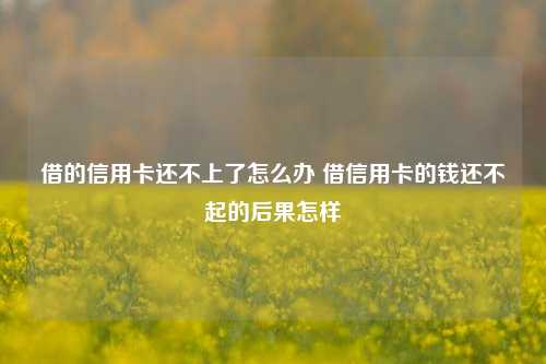 借的信用卡还不上了怎么办 借信用卡的钱还不起的后果怎样