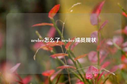 newbee怎么了 newbee成员现状