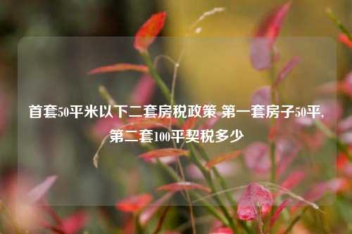 首套50平米以下二套房税政策 第一套房子50平,第二套100平契税多少