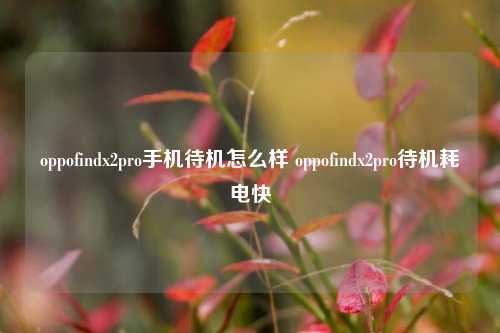 oppofindx2pro手机待机怎么样 oppofindx2pro待机耗电快