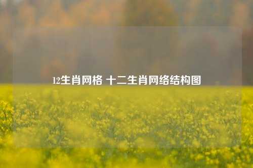 12生肖网格 十二生肖网络结构图