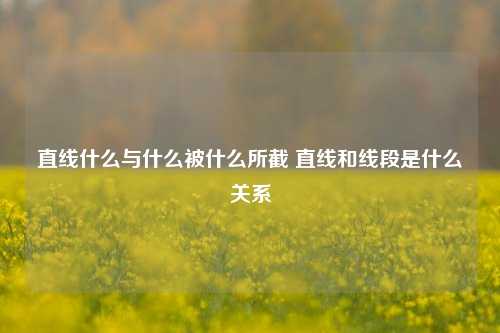 直线什么与什么被什么所截 直线和线段是什么关系