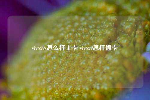 vivox9s怎么样上卡 vivox9怎样插卡