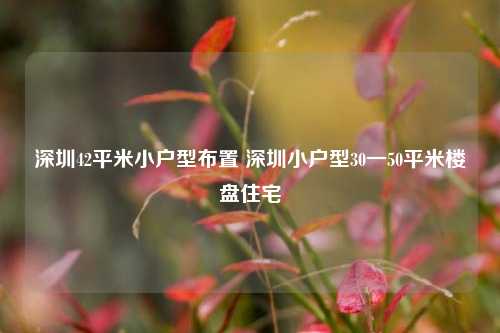 深圳42平米小户型布置 深圳小户型30一50平米楼盘住宅