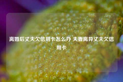 离婚后丈夫欠信用卡怎么办 夫妻离异丈夫欠信用卡